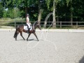 De-Grensruiters-Concours-25-06-2025-002