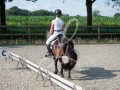 De-Grensruiters-Concours-25-06-2025-005