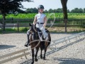 De-Grensruiters-Concours-25-06-2025-007