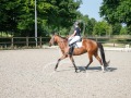 De-Grensruiters-Concours-25-06-2025-026
