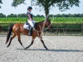 De-Grensruiters-Concours-25-06-2025-032