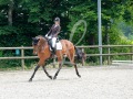 Grensruiters-Concours-Juni-2025-incl-logo-76