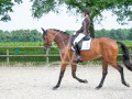 Grensruiters-Concours-Juni-2025-incl-logo-80
