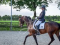 Grensruiters-Dressuur-wedstrijd-Mei-2025-181